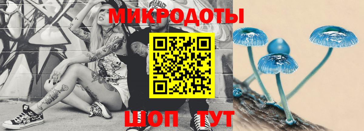 Псилоцибиновые грибы Psilocybine cubensis  Вход с VPN  Алексин 