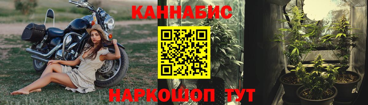 Канабис OG Kush Алексин